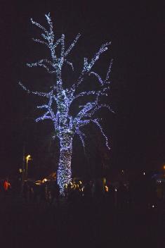 Vítání adventu 2025