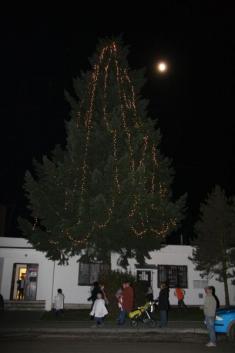 Rozsvícení vánočního stromu v DL